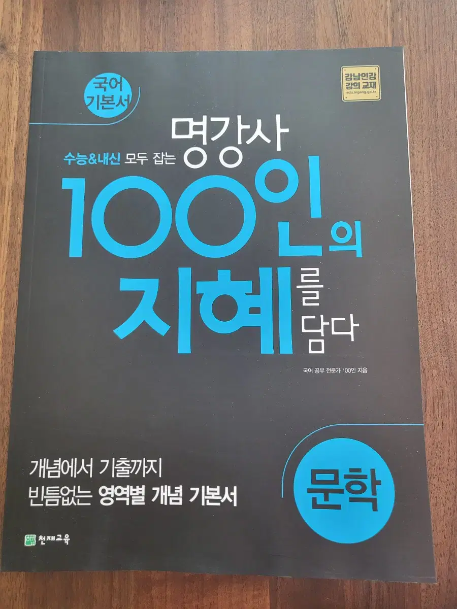 명강사 100인의 지혜를 담다 문학